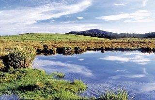 Sri Lankas kulturelle Höhepunkte und das Hochland (Privatreise)