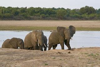 14&nbsp;Tage&nbsp;in&nbsp;Victoria Falls Rovos Rail Pride of Africa - Victoria Falls-Lobito