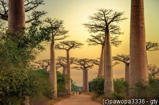 Bild Madagaskar: Erlebnisreise ab/an Antananarivo