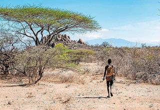 Bild Kultur und Safari
