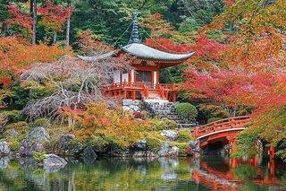 Highlights Japan