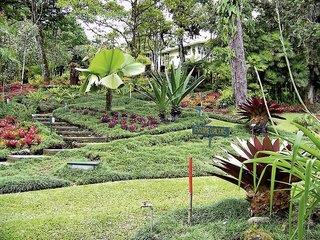 THB_999_H100197454