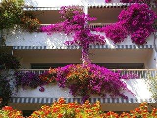 Hotelbild von Pietracap