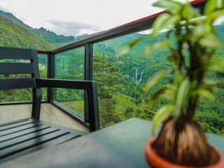 Oak Ray Tea Bush Ramboda