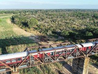 Kruger Shalati - The Train On The Bridge 1