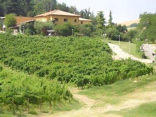 THB_999_H242496