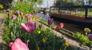 THB_999_H252647