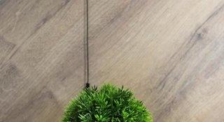 Hotelbild von Dezign Apartments