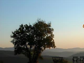 THB_999_H263534