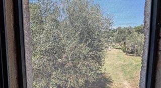 THB_999_H264463