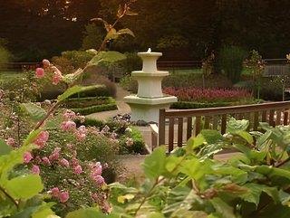 THB_999_H270053