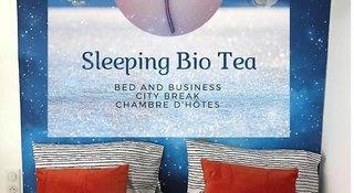 Sleeping Bio Tea Bed and Breakfast