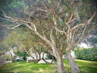 Hotelbild von Starbal