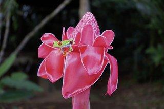 Costa Rica