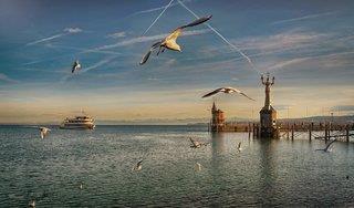 THB_999_H100171511