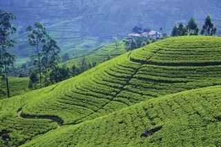 4 Tage in Colombo Sri Lanka kompakt (Gruppenreise)