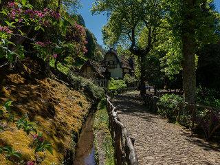 Rundreise Wandern: ASI - Madeira der Levada Trek individuell