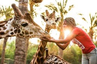 Hotelbild von Oasis Wildlife Fuerteventura Sotavento Beach