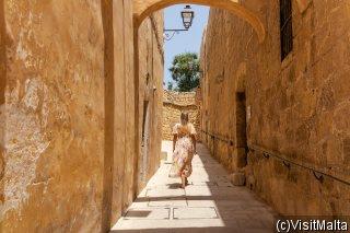 Bild Malta - Gozo: Zwei Inseln, eine Reise - voller Geschichte und Natur