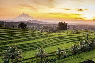 1&nbsp;Tag&nbsp;in&nbsp;Denpasar (Insel Bali) Ubud und Umgebung