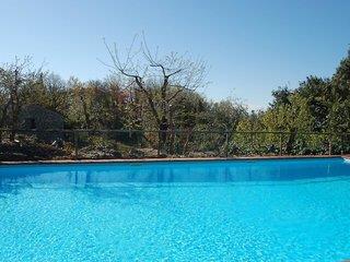 THB_999_H132296