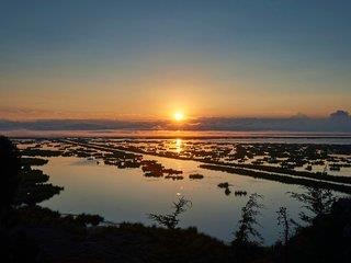 THB_999_H18234