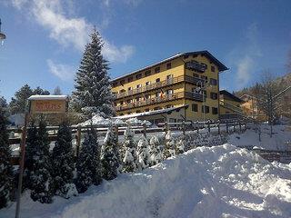 Hotel Des Alpes 1