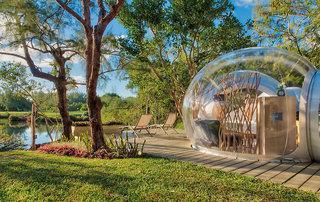 Bubble Lodge