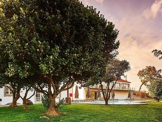 THB_999_H214113