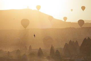 THB_999_H238514