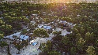 THB_999_H238949