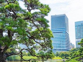 THB_999_H239608