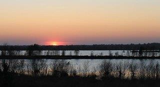 THB_999_H269463