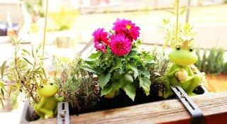 Hotelbild von Johannishof