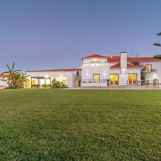 Silver Seahorse Garden Retreat