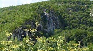 THB_999_H288674
