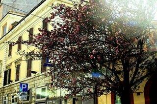 THB_999_H34664