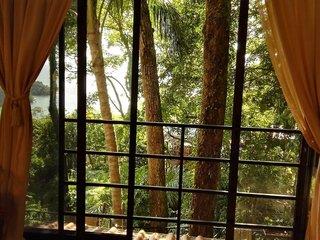 Hotelbild vom Villa Mango Moon