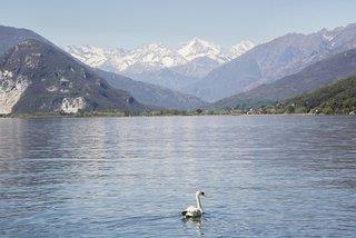 THB_999_H38217