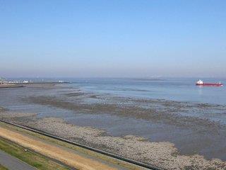THB_999_H41995